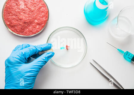 Studi di laboratorio di carne. Carni macinate in Piastra Petri sotto la supervisione di uno scienziato a guanti. Vista da sopra. Esperimento di chimica. Foto Stock