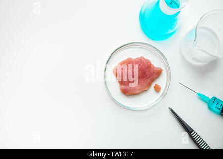 Studi di laboratorio di artificiali a base di carne. Carni macinate in piastra Petri di vetro. Vista da sopra. Esperimento di chimica. Spazio per il testo. Foto Stock