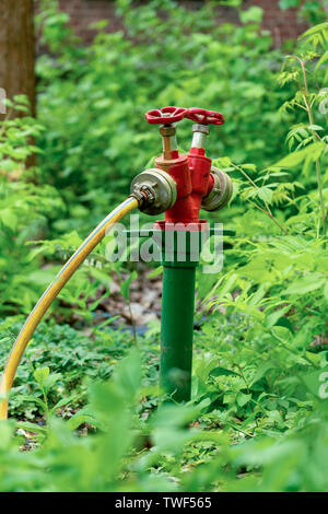 Professional sistema di irrigazione per il verde pubblico e parchi costituito da toccando due volte il punto e il tubo flessibile di acqua per irrigazione di grandi aree di piante o Foto Stock