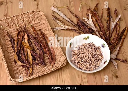 Fagioli borlotti, essiccato e sgusciati, una varietà di fagiolo comune, Phaseolus vulgaris. Foto Stock