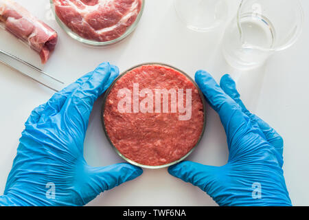 Studi di laboratorio di artificiali a base di carne in scatola Petri. Vista da sopra. Esperimento di chimica. Foto Stock