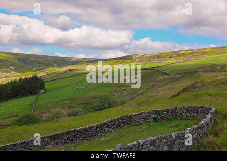 Agricoltura nella valle di Farndale sulla North York Moors, England, Regno Unito Foto Stock