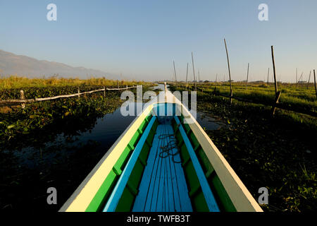 Una canoa fa il suo modo attraverso la floating orti sul Lago Inle. Foto Stock