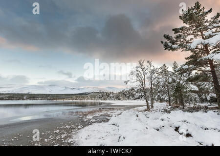 Inverno sul Loch Morlich nel Parco Nazionale di Cairngorms della Scozia. Foto Stock