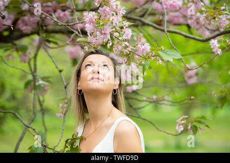 Giovane donna guardando il fiore di ciliegio in un parco. Foto Stock