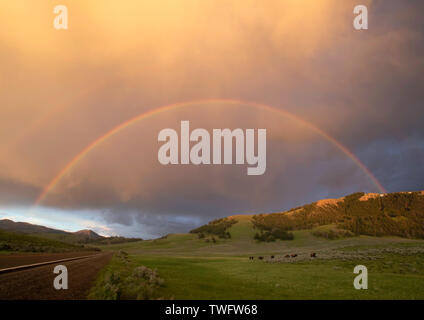 Rainbow su Lamar valley, Yellowstone, Wyoming USA Foto Stock