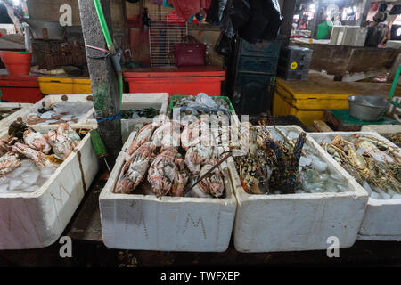 BADUNG/BALI-Giugno 03 2019: crudo fresco granchi e aragoste in bianco ghiaccio Styrofoam Kedonganan al mercato del pesce Foto Stock