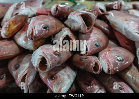 Mazzetto di crudo fresco Lutiano rosso sul ghiaccio a Kedonganan mercato del pesce, Bali Foto Stock