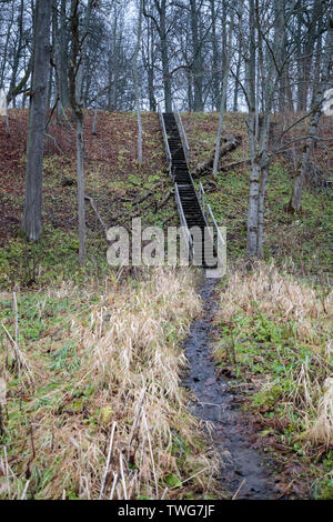 Grande Scala nel bosco in autunno Foto Stock