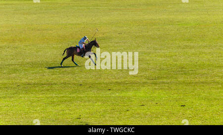Polo equestre campo con pilota e pony di colpire la sfera la riproduzione di un club locale gioco. Foto Stock