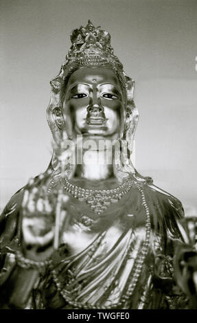 Il Gong Wu statua presso il Gong cinese Wu Santuario a Bangkok in Tailandia in Asia del sud-est in Estremo Oriente. Tempio Wanderlust evasione Foto Stock