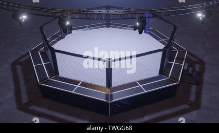 Un 3D render di MMA arena lotta gabbia Foto Stock