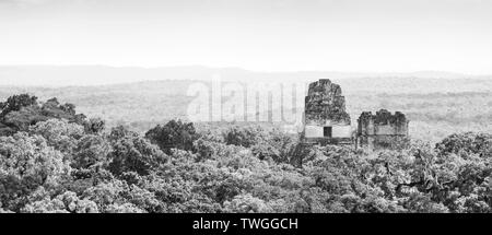 Rovine di Tikal in Guatemala con fitta giungla tropicale nella splendida in bianco e nero Foto Stock