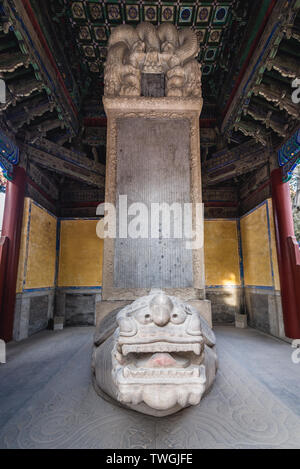 Tavoletta di pietra su una statua Bixi nel Tempio di Confucio a Pechino, città capitale della Cina Foto Stock