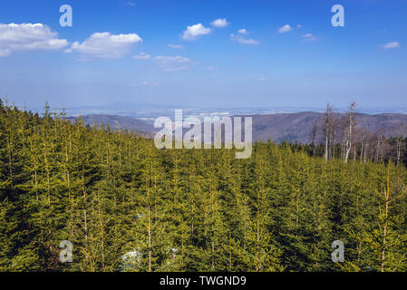 Foreste nel Parco Paesaggistico di sanguinose Sowie (Owl montagne) mountain range in Central Sudetes, Polonia - Pieszyce città sullo sfondo Foto Stock