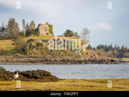 Il castello di Aros dal lato Salen, Mull, Ebridi, Scozia Foto Stock