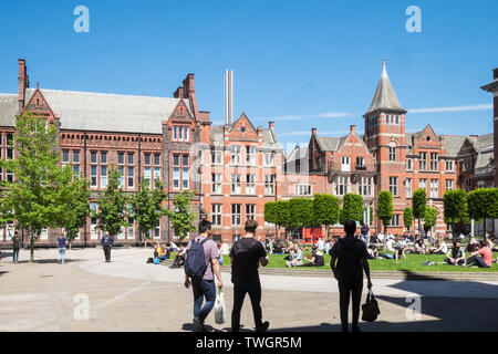 Università di Liverpool,studente,studenti,facoltà,l'istruzione,Liverpool,città,Nord,Nord,Merseyside,l'Inghilterra,inglese,GB,Gran Bretagna,British,UK,l'Europa Foto Stock