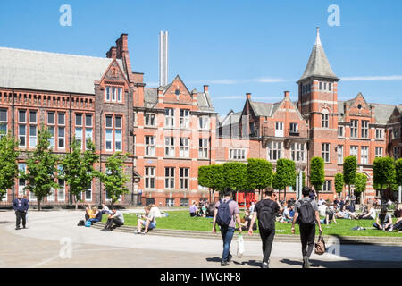 Università di Liverpool,studente,studenti,facoltà,l'istruzione,Liverpool,città,Nord,Nord,Merseyside,l'Inghilterra,inglese,GB,Gran Bretagna,British,UK,l'Europa Foto Stock