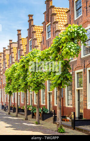 Fila di tradizionali Duch frontone a gradini case in haarlem nei Paesi Bassi Foto Stock