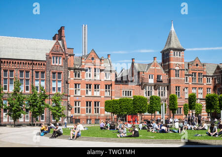 Università di Liverpool,studente,studenti,facoltà,l'istruzione,Liverpool,città,Nord,Nord,Merseyside,l'Inghilterra,inglese,GB,Gran Bretagna,British,UK,l'Europa Foto Stock