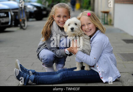 Due sorelle con i loro incroci di cane su un marciapiede di Düsseldorf, Germania. Foto Stock