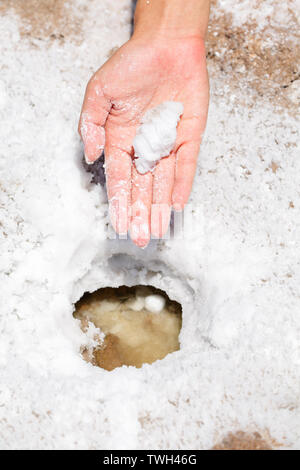 Valle della Morte del sale dalla Death Valley, California, Stati Uniti d'America. Stretta di mano mostra essiccata sale nel bacino Badwater. Foto Stock