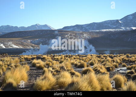 Campo di geyser nei pressi di El Tatio, il Deserto di Atacama, Cile settentrionale. Foto Stock