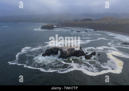 Il freddo, nutriente-ricco acque dell'Oceano Pacifico lavare contro il robusto ma paesaggistica costa della California del Nord. Foto Stock
