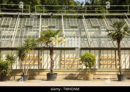 Orangerie nei giardini del castello Esterházy a Eisenstadt (Burgenland, Austria). L' Orangerie fu costruito nella metà del XIX secolo e Foto Stock