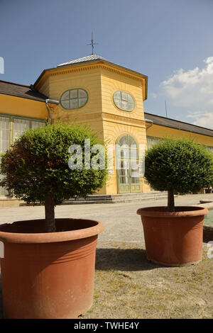 Orangerie nei giardini del castello Esterházy a Eisenstadt (Burgenland, Austria). L' Orangerie fu costruito nella metà del XIX secolo e Foto Stock