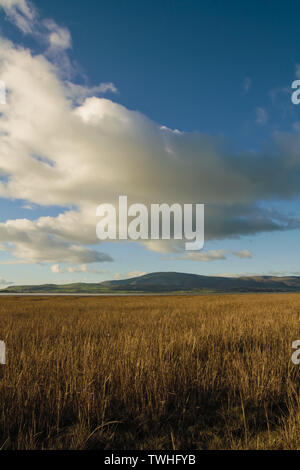 Vista dal litorale vicino e Dunnerholme Askam-In-Furness. Il nero di Combe e Millom visto attraverso la Duddon Estuary sul litorale di Cumbria. Foto Stock