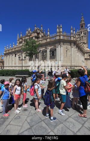 Spagna; Andalusia; Siviglia; cattedrale, Plaza del Triunfo, bambini Foto Stock