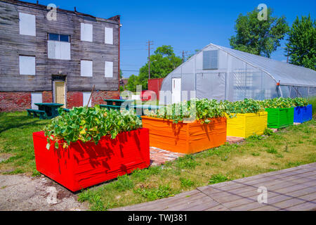 Colore luminoso coltivazione di ortaggi scatole in un inner city garden Foto Stock