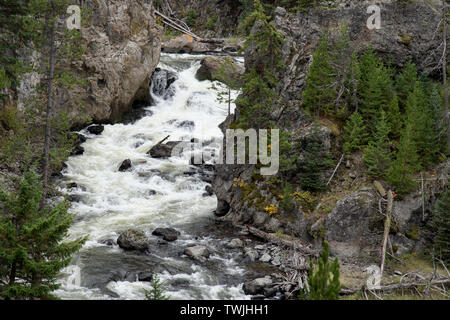 Vista del Gibbone fiume nel Parco Nazionale di Yellowstone Foto Stock