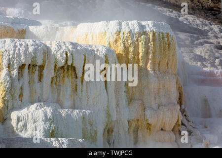 Mammoth Hot Springs Foto Stock