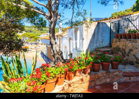 Fiori in vaso sulla terrazza di una casa nel villaggio di Tamariu, Costa Brava, Spagna Foto Stock