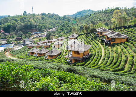 Punto di vista resort Casa di terra nella piantagione di tè a lee divieto di vino rak Thai,Mae Hong Son,thailandia Foto Stock
