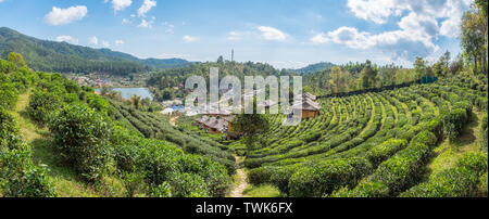 Punto di vista resort Casa di terra nella piantagione di tè a lee divieto di vino rak Thai,Mae Hong Son,thailandia Foto Stock