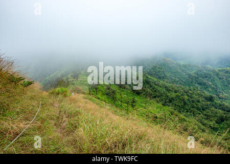 Picco verde montagna nella valle con la nebbia a parco nazionale Foto Stock