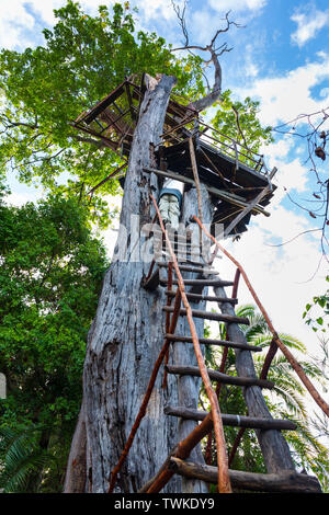 Torre di avvistamento, Kasanka Bat migrazione, Kasanka National Park, Serenje, Zambia, Africa Foto Stock