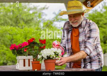 Soddisfatto l'uomo. Barbuto pensionati uomo che indossa estate hat ottenere soddisfazione, mentre gli impianti di irrigazione Foto Stock