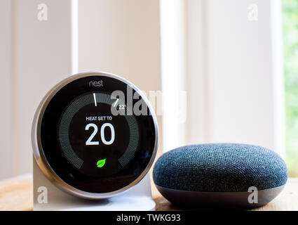 "Nest" il termostato e la home page di Google mini Foto Stock