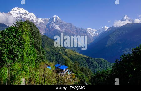 Vista del picco coperto di neve del massiccio di Annapurna in Nepal. Foto Stock