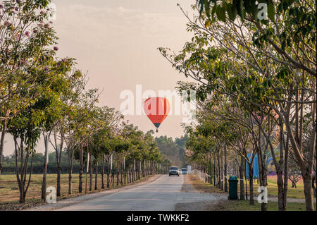 Auto guidando su strada nel tunnel di alberi con una mongolfiera volare in festa annuale Foto Stock