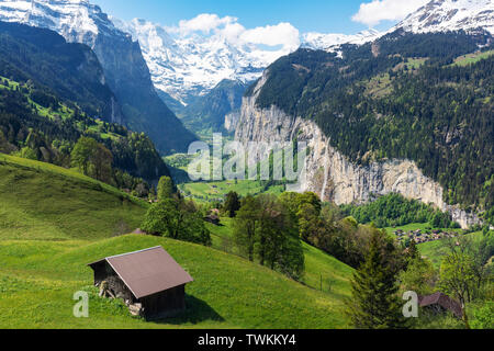 Campagna, il verde dei prati, pineta, una casa e sulle Alpi la gamma della montagna in estate in Lauterbrunnen, Svizzera Foto Stock