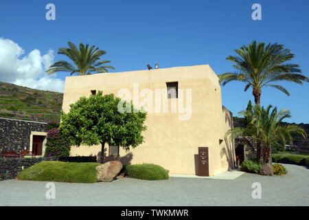 L'Italia, Sicilia, isola di Pantelleria, distretto di Khamma, cantina Donnafugata , accoglie favorevolmente appassionati di vino in estate, che offre la possibilità di ammirare il gi Foto Stock