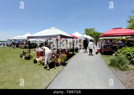 Gli agricoltori del Villaggio Mercato di Port Jefferson Long Island New York Foto Stock