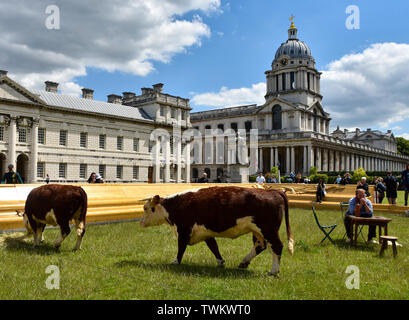 Old Royal Naval College di Greenwich, Londra, Regno Unito. Il 21 giugno 2019. "Pascolo con latte di mucca un arte di installazione dal capitano Boomer collettivo. Credito: Matteo Chattle/Alamy Live News Foto Stock