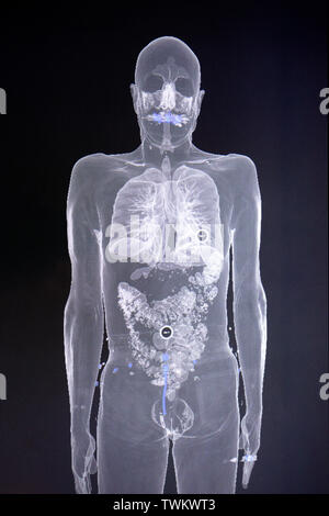 Corpo umano Foto Stock