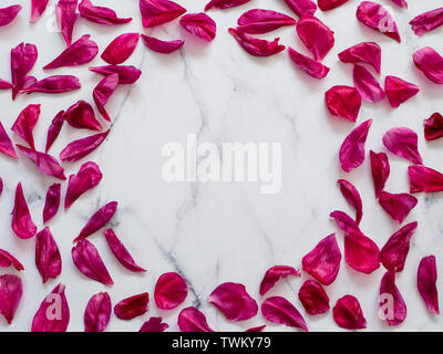 Rosso borgogna peonia petali laici piana di forma circolare su marmo bianco dello sfondo. Petali di fiori con copia spazio per il testo o il design nel centro. Layout creativo fatto di fiori foglie. Piatto modello di laici. Foto Stock